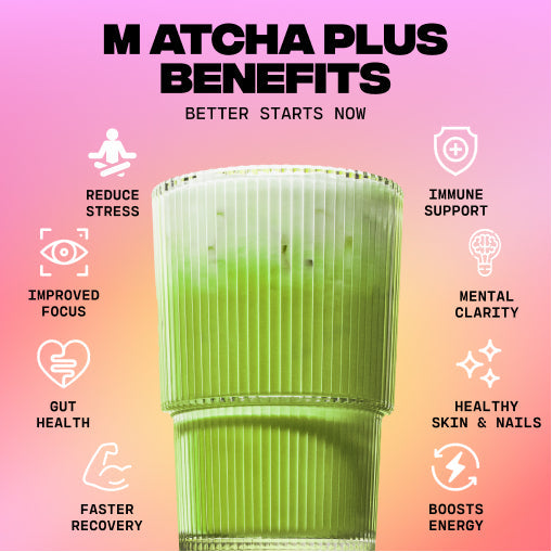 Matcha+ Starter Kit (30 Servings) - Premium Edit Essentials