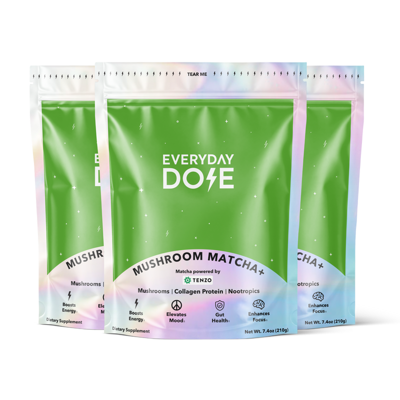 Matcha+ (90 Servings) - Modern Ready Shield