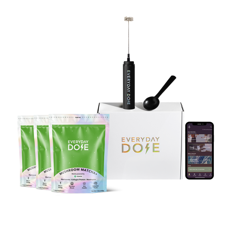 Matcha+ Starter Kit (90 Servings) - Fresh Edit Routine
